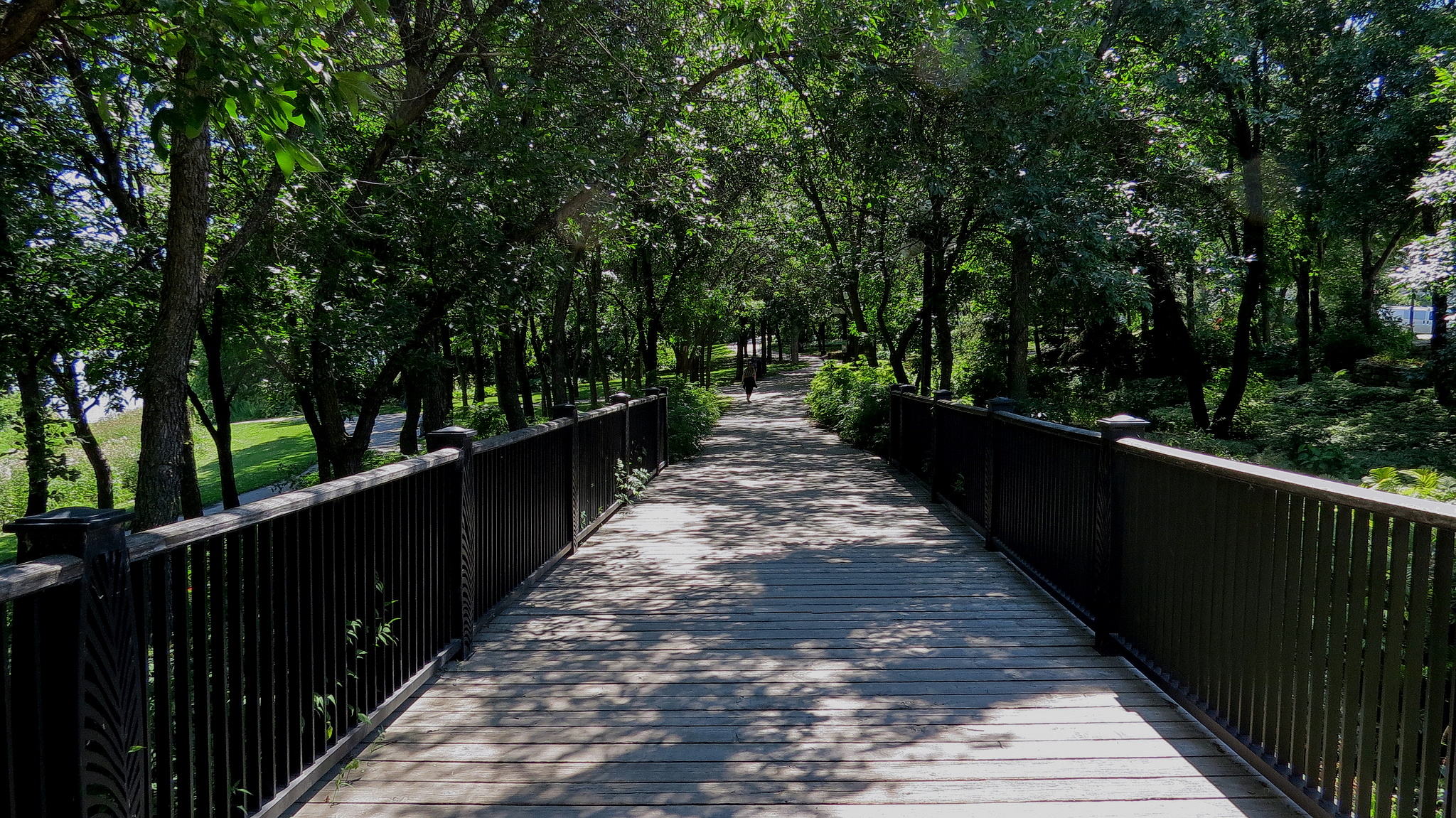 stephen-juba-park_2.jpg