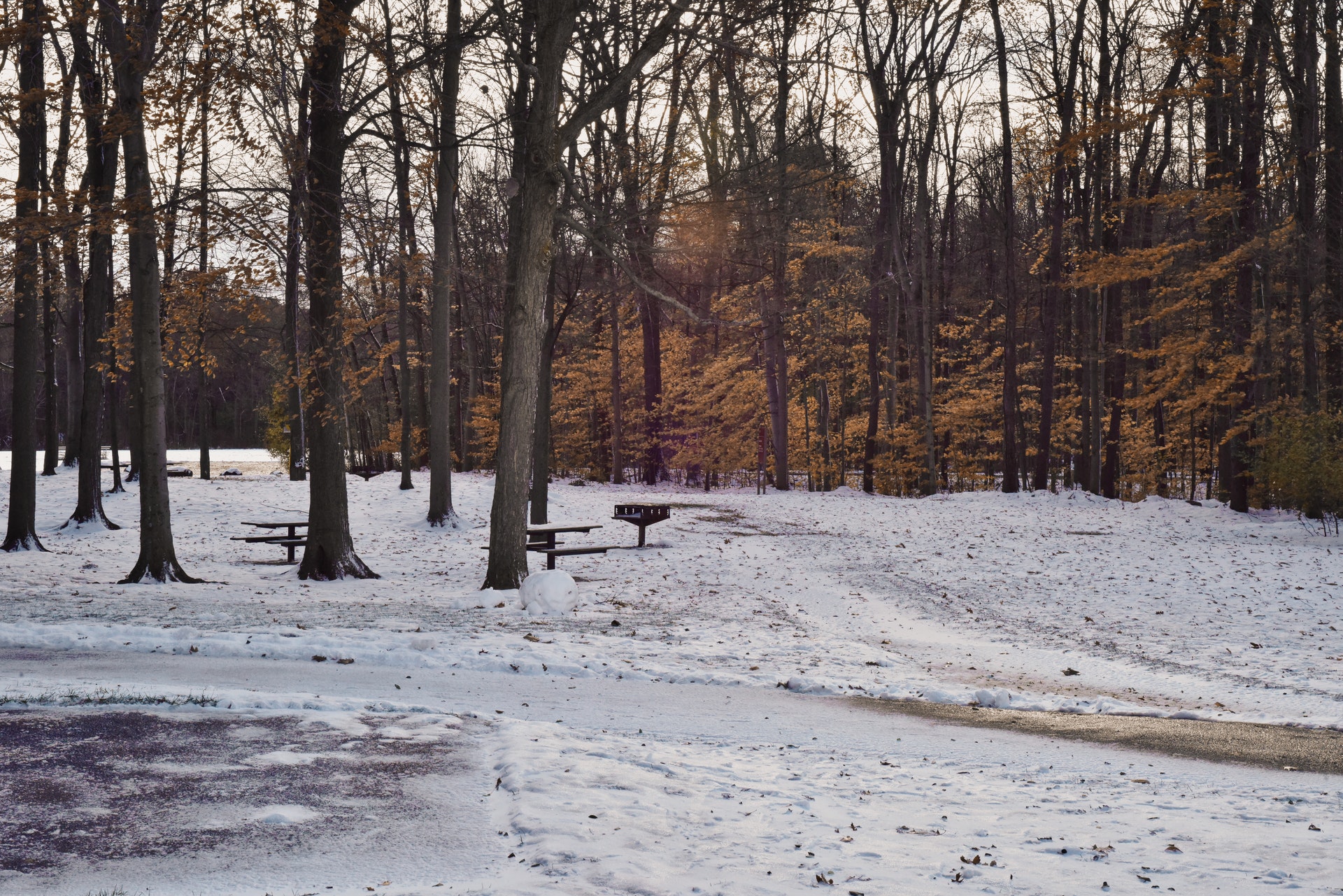 snow-park-1920.jpg