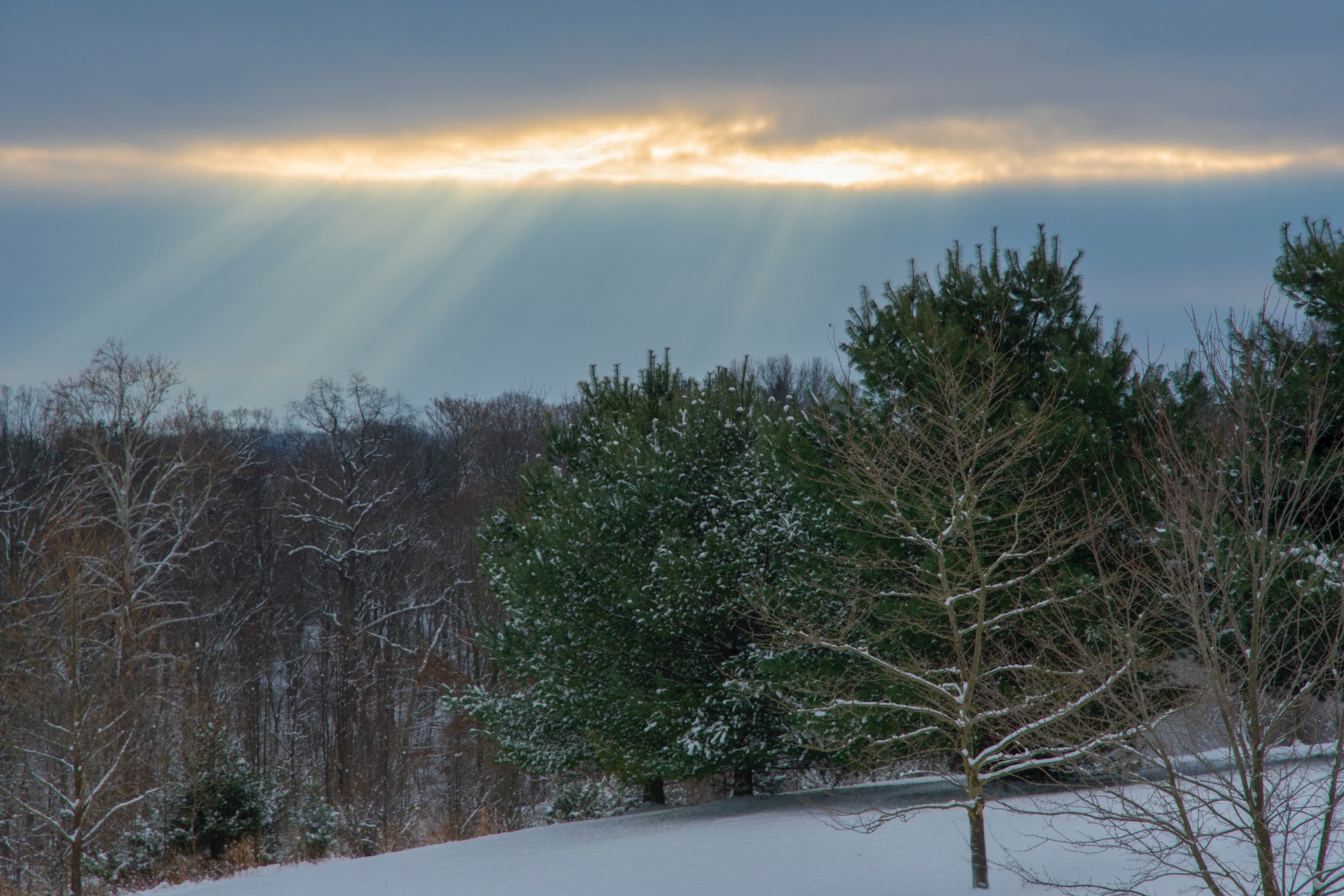 snow-sunrays-1920.jpg